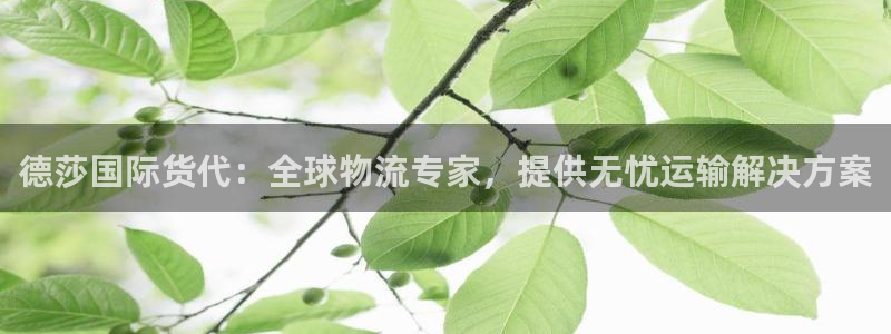 公海赌赌船登录网站